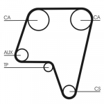 Hammasrihm CONTINENTAL CTAM CT819