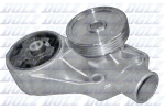 Veepump, mootori jahutus DOLZ S193