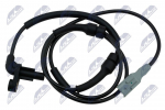 Andur, rattap&ouml;&ouml;rete arv NTY HCA-CT-029