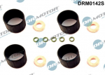 Tihendikomplekt, Sissepritsed&uuml;&uuml;s DR. MOTOR DRM0142S