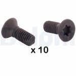 Kruvi,piduriketas DELPHI BGK010