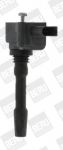 S&uuml;&uuml;tepool BorgWarner (BERU) ZSE163