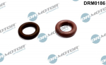 Tihendikomplekt, Sissepritsed&uuml;&uuml;s DR. MOTOR DRM0186