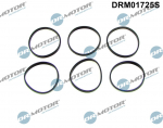 Tihendikomplekt,Sisselaskekollektor DR. MOTOR DRM01725S