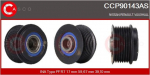 Rihmaratas,generaator CASCO CCP90143AS