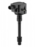 S&uuml;&uuml;tepool BorgWarner (BERU) ZSE296