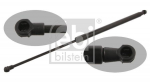 Gaasivedru, pagasi-/veoruum FEBI BILSTEIN 34440