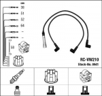 S&uuml;&uuml;tes&uuml;steemikomplekt NGK RC-VW210