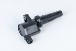 S&uuml;&uuml;tepool BorgWarner (BERU) ZS592