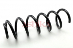 vedru ASHIKA ZCA5421C