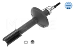 Amort MEYLE 16-26 623 0003