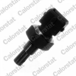 Andur,Jahutusvedeliku temp. CALORSTAT by Vernet WS2600