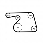Veepump+ soonrihmakomplekt CONTINENTAL CTAM 6PK1318WP1