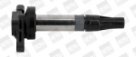 S&uuml;&uuml;tepool BorgWarner (BERU) ZSE196