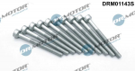 Kruvi, sissepritsed&uuml;&uuml;si kinnitus Dr.Motor Automotive DRM01143S