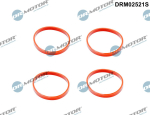 Tihendikomplekt,Sisselaskekollektor Dr.Motor Automotive DRM02521S
