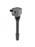 S&uuml;&uuml;tepool BorgWarner (BERU) ZS587