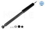Amort MEYLE 026 725 0007