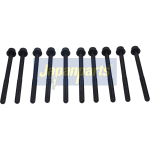 Klapikaanekruvikomplekt JAPANPARTS BL-305