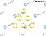 Kaitseseib,sissepritses&uuml;steem Dr.Motor Automotive DRM02456S
