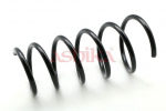 vedru ASHIKA ZCA3310A