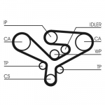 Hammasrihm CONTINENTAL CTAM CT1135