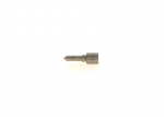 D&uuml;&uuml;s BOSCH 0 433 171 963