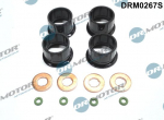 Tihendikomplekt, Sissepritsed&uuml;&uuml;s DR. MOTOR DRM0267S