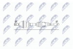 Veov&otilde;ll NTY NPW-CT-019