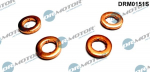 Kaitseseib,sissepritses&uuml;steem Dr.Motor Automotive DRM0151S