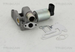EGR-klapp TRISCAN 8813 24003