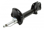 Amort MAXGEAR 11-1677