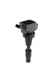 S&uuml;&uuml;tepool BorgWarner (BERU) ZSE301