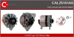 Generaator CASCO CAL25101AS