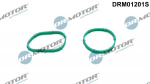 Tihendikomplekt,Sisselaskekollektor Dr.Motor Automotive DRM01201S