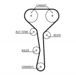 Hammasrihm GATES 5507XS