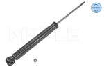 Amort MEYLE 626 725 0020