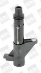 S&uuml;&uuml;tepool BorgWarner (BERU) ZS347