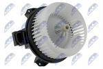 Salongipuhur NTY EWN-FR-004