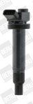 S&uuml;&uuml;tepool BorgWarner (BERU) ZSE173