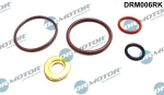 Remondikomplekt,pump-d&uuml;&uuml;s-komponent DR. MOTOR DRM006RK