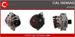 Generaator CASCO CAL10245AS