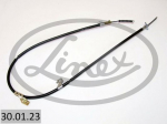 Tross,seisupidur LINEX 30.01.23