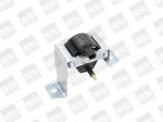 S&uuml;&uuml;tepool BorgWarner (BERU) ZS469