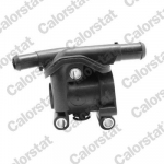 Jahutusvedeliku flants CALORSTAT by Vernet WF0071