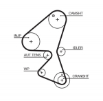 Hammasrihm GATES 5598XS