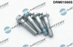 Kruvi, sissepritsed&uuml;&uuml;si kinnitus Dr.Motor Automotive DRM01066S