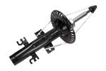 Amort MAXGEAR 11-0348