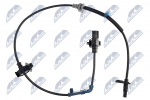 Andur, rattap&ouml;&ouml;rete arv NTY HCA-HD-007