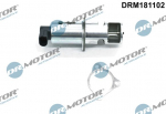 EGR-klapp Dr.Motor Automotive DRM181102